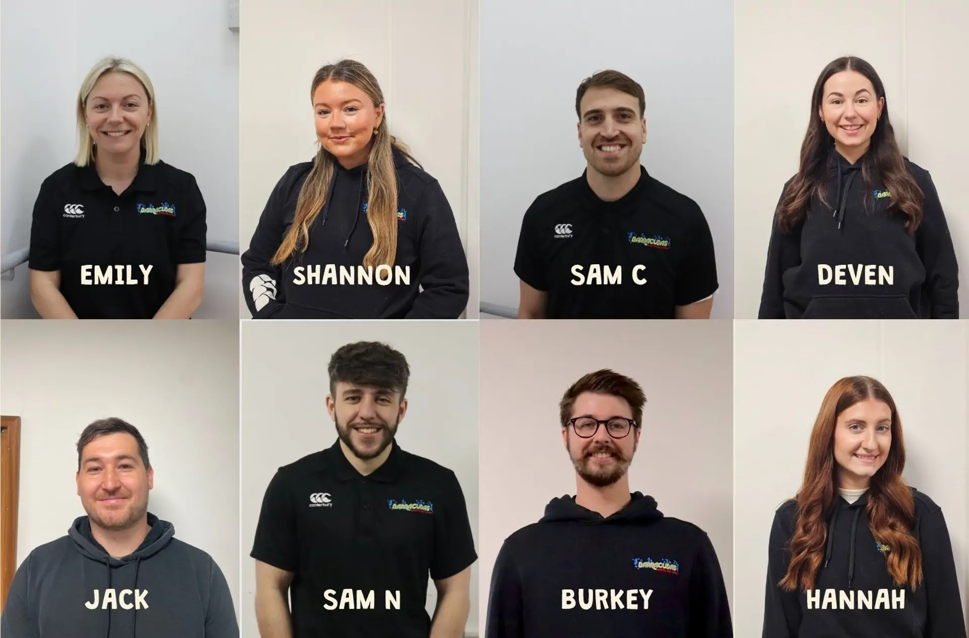 Meet the team graphic.jpg