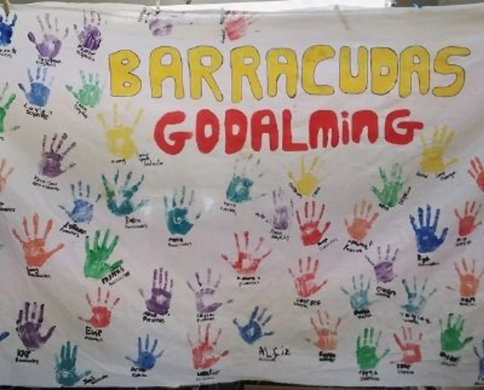 Barracudas Godalming artwork