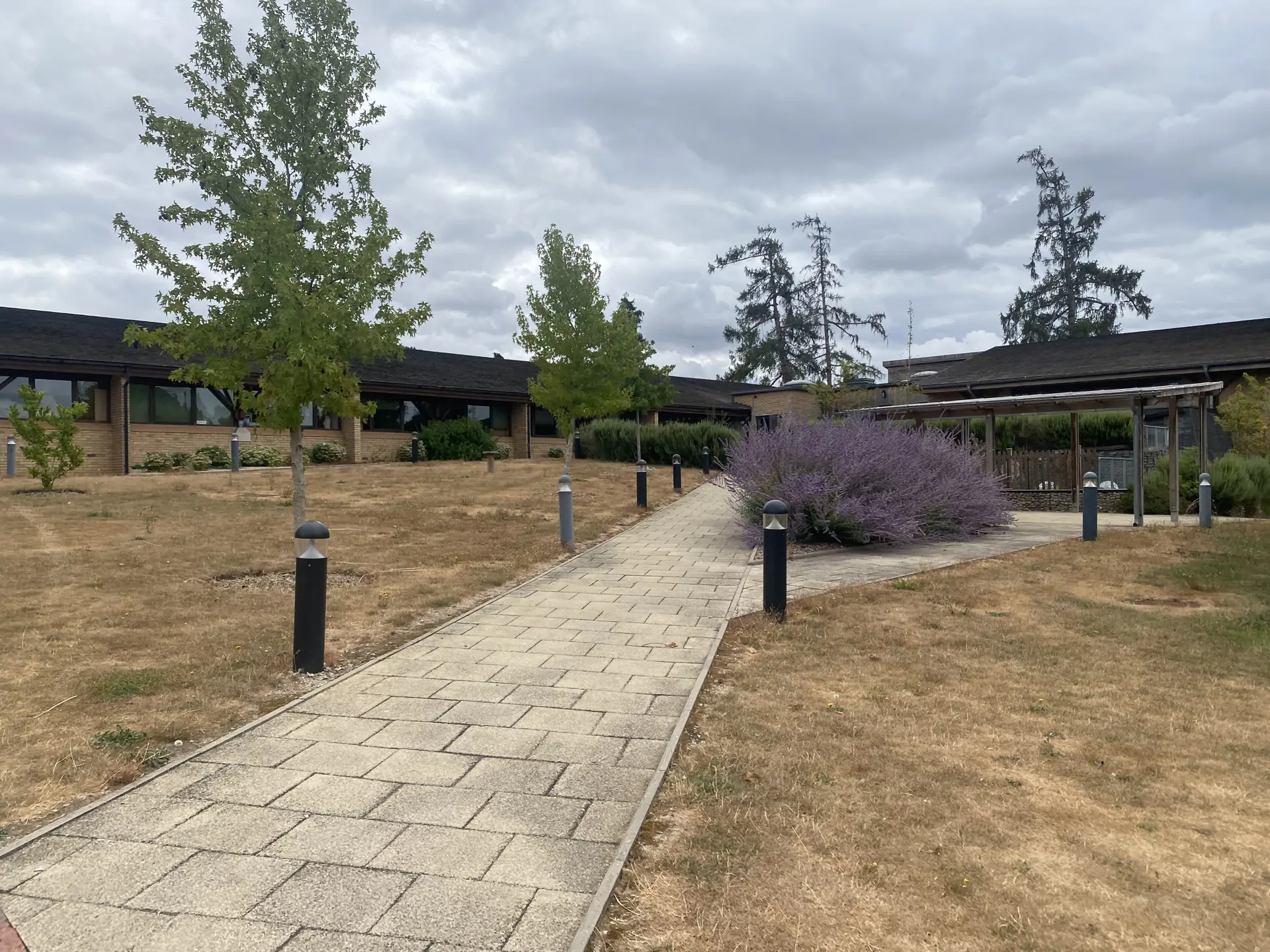 Path at Barracudas Hemel camp.jpg